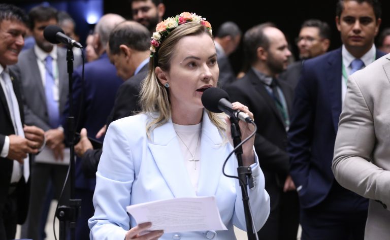 Discussão e votação de propostas legislativas. Dep. Julia Zanatta (PL - SC)