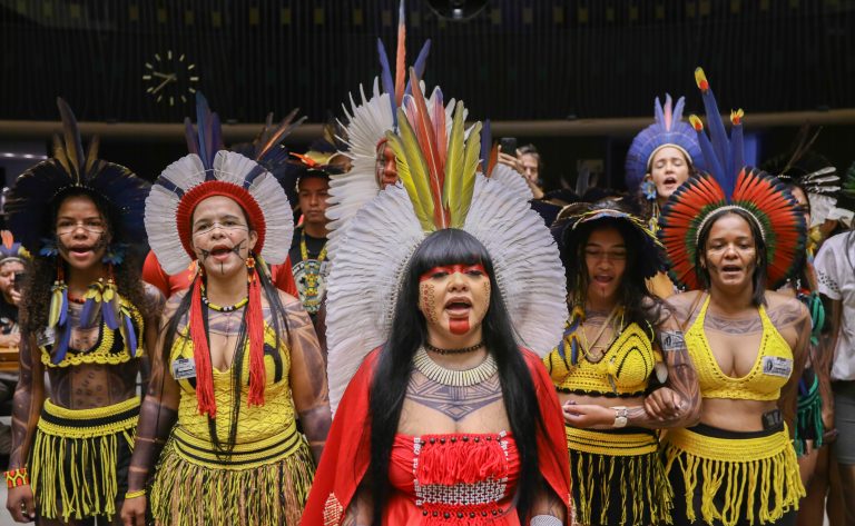 Homenagem à 22ª edição do Acampamento Terra Livre. Dep. Célia Xakriabá (PSOL - MG)