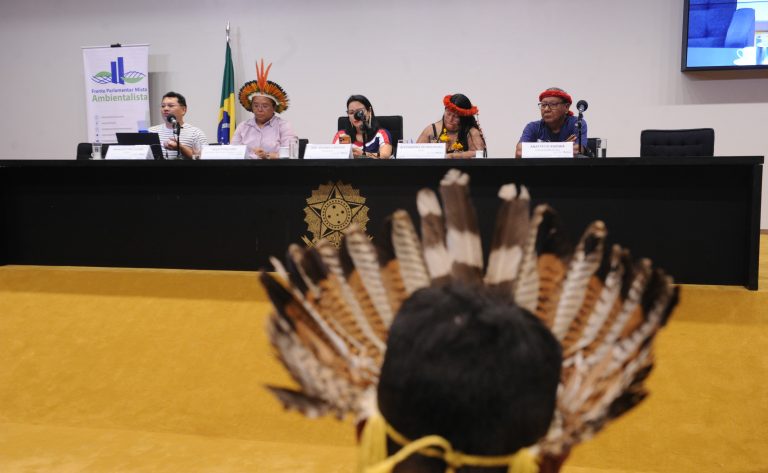 IV Seminário sobre Direitos dos Povos Indígenas no Congresso Nacional - Sem território não há clima: a resposta somos nós.