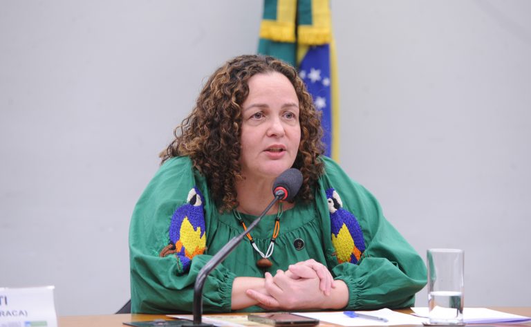 Audiência Pública - Relatório de Impacto da Causa Animal. Diretora do Dep.de Proteção, Defesa e Direitos Animais - DPDA - MMA - Ministério do Meio Ambiente e Desenvolvimento Sustentável, Vanessa Negrini.