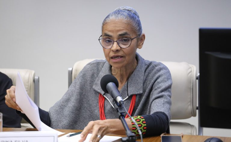 Seminário - Entre cotas e paridade: 30 anos na trajetória brasileira e as experiências internacionais. Dep. Marina Silva (REDE - SP)