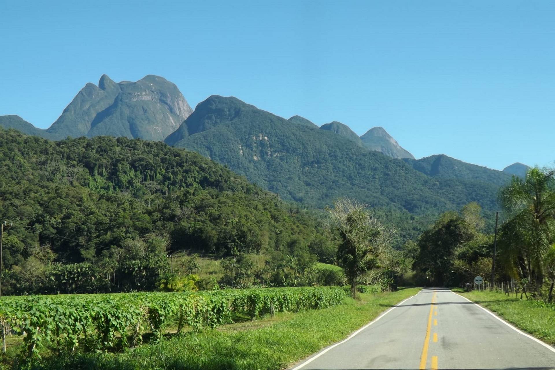 Quando o turismo deixa de ser promessa e passa a estruturar o futuro de uma cidade
