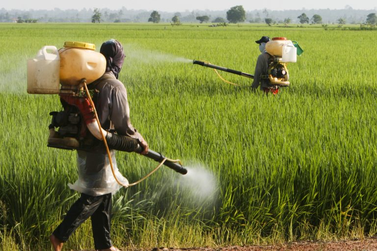 Cancelado debate sobre efeitos dos herbicidas hormonais na saúde e na biodiversidade