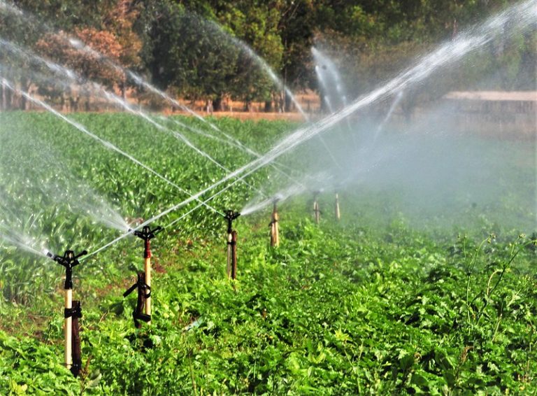 Agropecuária - plantações - irrigação - O canal de água que abastece a produção local possui 9 quilômetros e é o segundo mais extenso do Distrito Federal