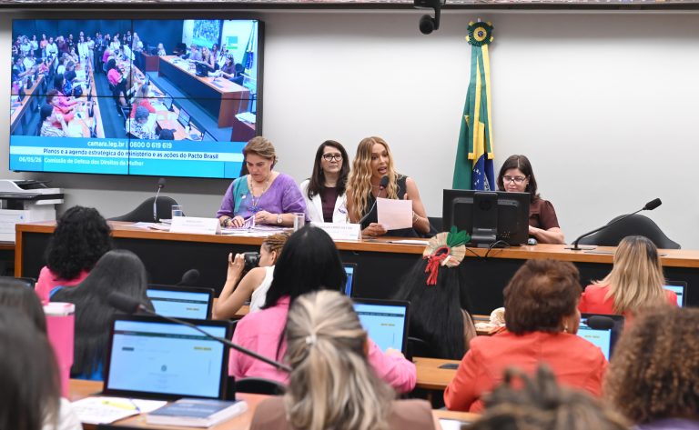 Planos e a agenda estratégica do ministério e as ações do Pacto Brasil. Ministra das Mulheres, Márcia Lopes. Dep. Erika Kokay (PT - DF)