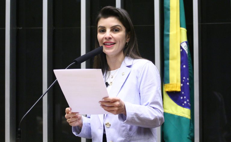 Deputados aprovam projeto que impede a fiscalização ambiental de adotar medidas cautelares