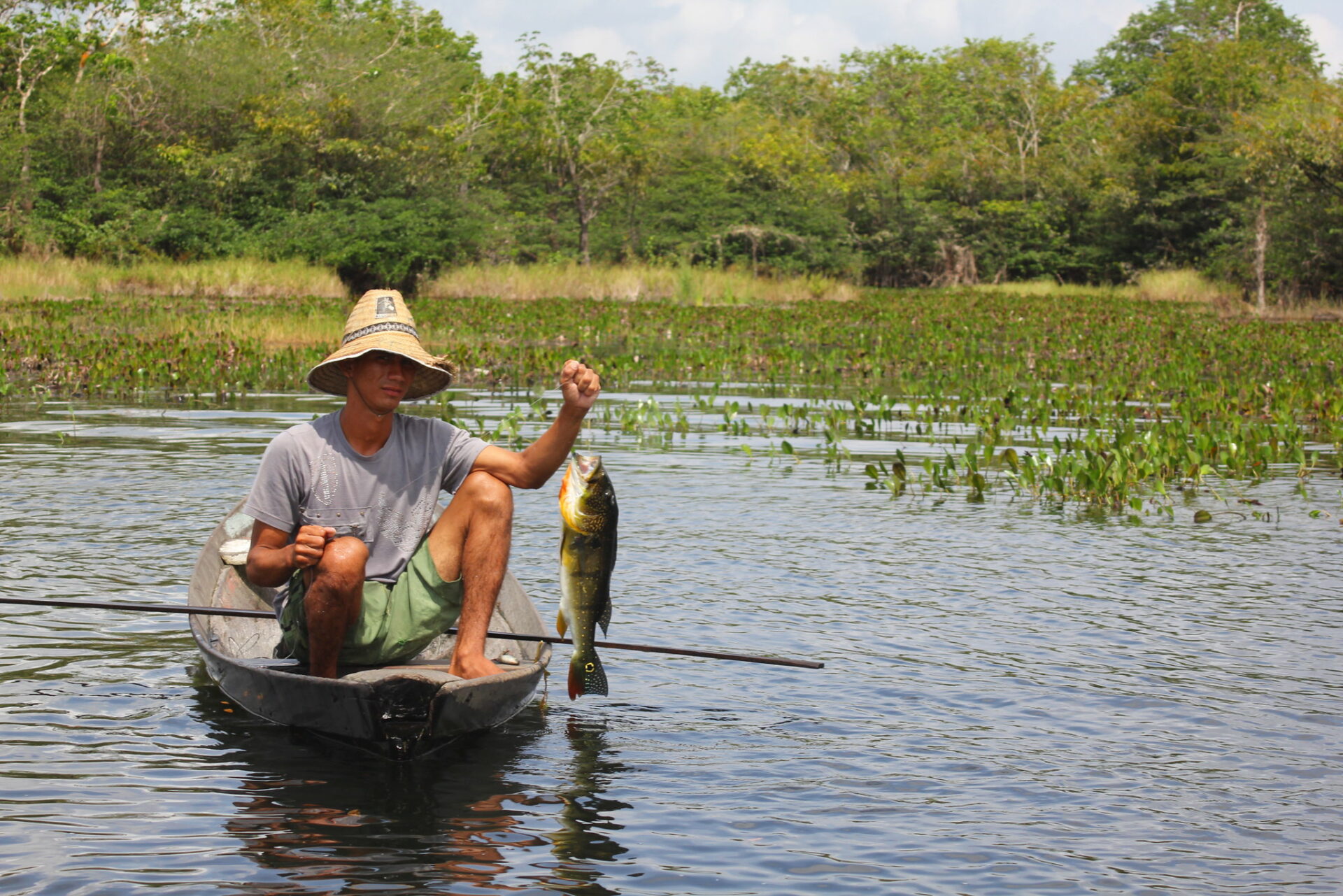 Agropecuária - geral - conservação preservação ambiental produção agrícola pesca pescador subsistência Incra reforma agrária peixes alimentação rural (reserva extrativista Renascer, Prainha-PA) Agropecuária - geral - conservação preservação ambiental produção agrícola pesca pescador subsistência Incra reforma agrária peixes alimentação rural (reserva extrativista Renascer, Prainha-PA)