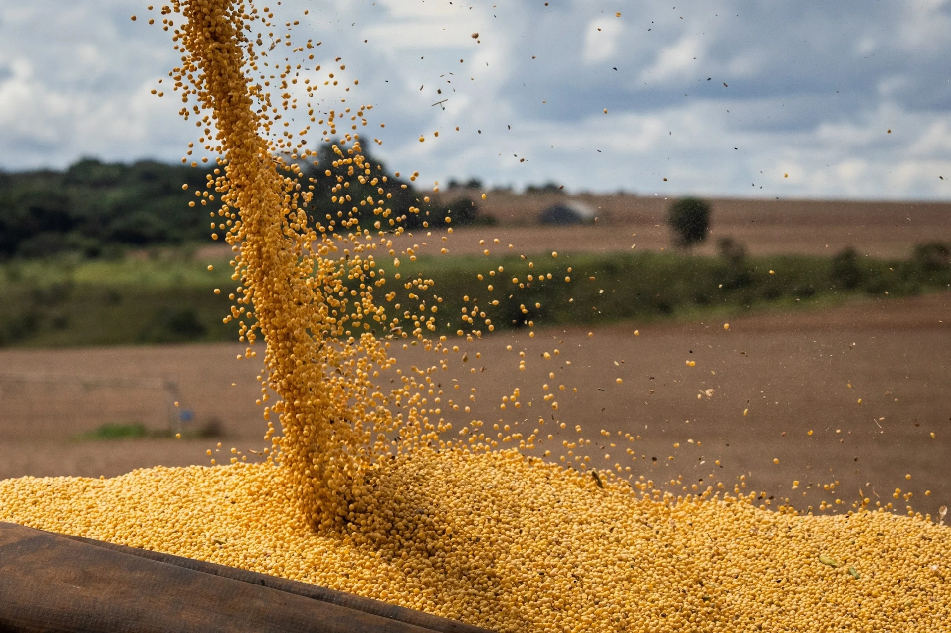 Rastreabilidade da soja e da carne esbarra na falta de integração