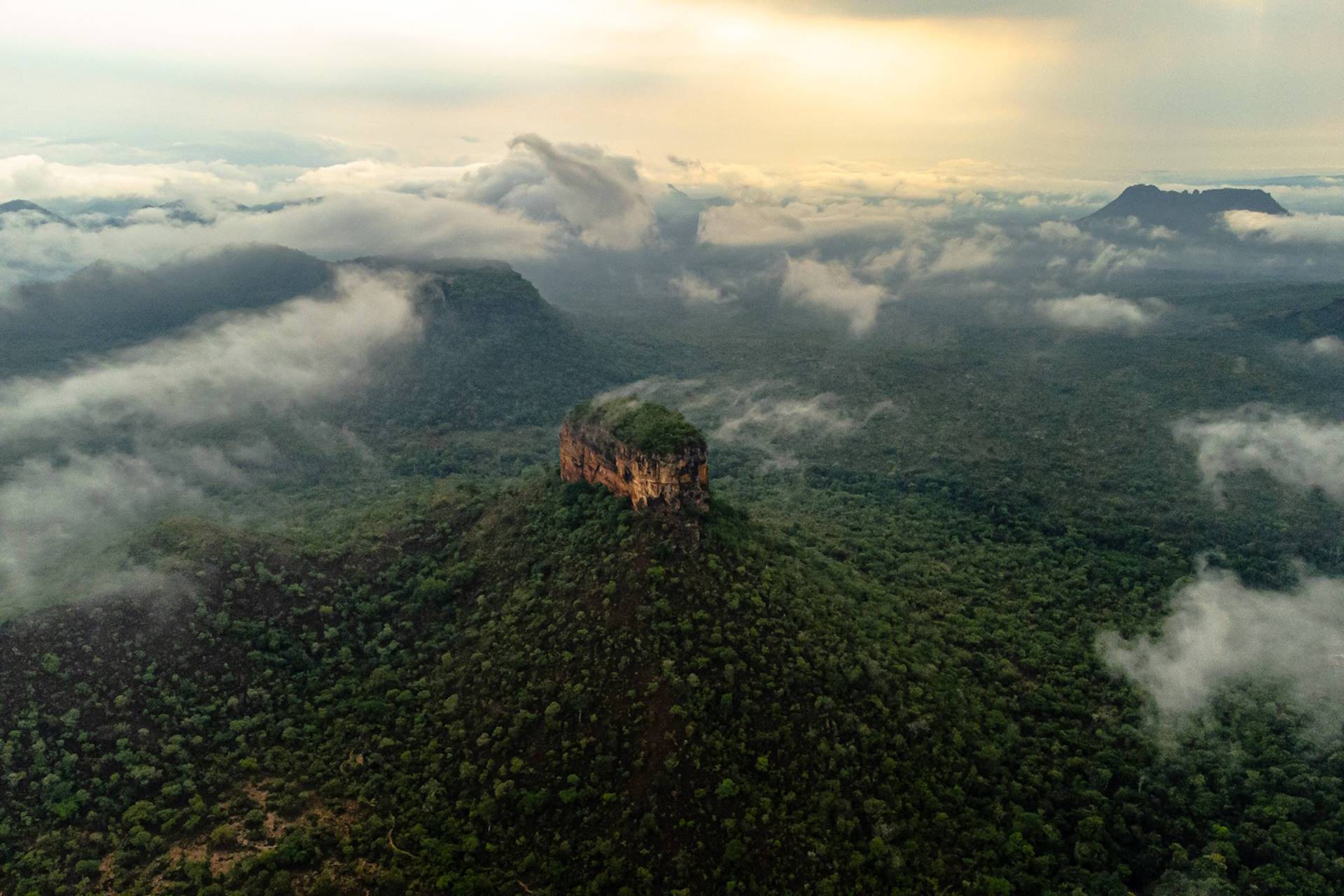 Muito além das árvores tortas: conheça a diversidade do Cerrado em fotos