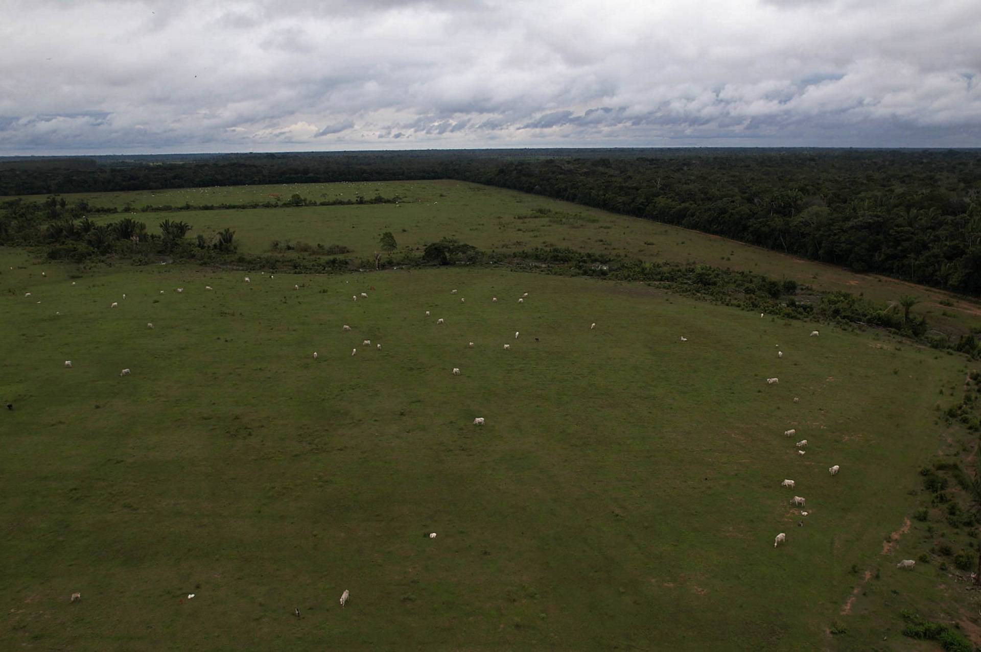 Desmatamento na Amazônia atinge menor nível da série histórica em 2025